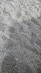 Beach sand waiting for the feet of the tourists.
Deserted sandy beach sand partly under the sun partly in shade. Tourists have not walked on it for a long time.