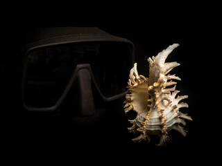 Sea shell and slightly blurred diver mask illuminated by side light on black background
