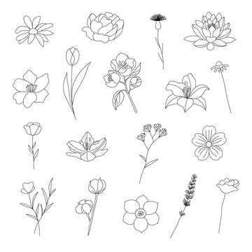 Flowers abstract set, floral elements for logo, invention, greeting cards. Line style flowers