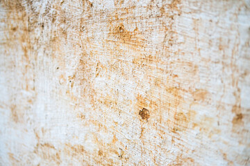 Fototapeta premium old background