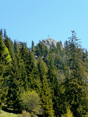 Fototapeta na wymiar Summit cross Brauneck mountain, Bavaria, Germany