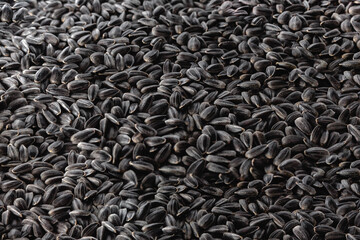 Sunflower seeds on white background