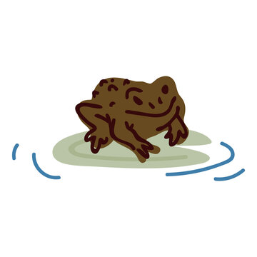 brown frog sitting lily pad clip art preview