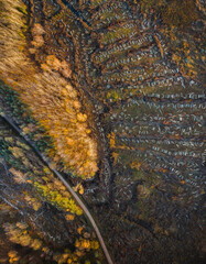 
Aerial view over deforestation. Tree felling in the middle of forest. Autumn colors at sunrise. Abstract look on earth texture.
