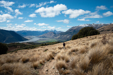Hiking Bealey Spur Track among tussock grassland in Arthur’s Pass National Park