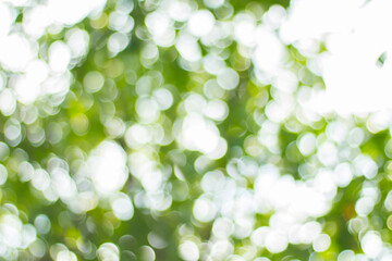 green bokeh background