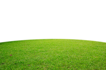 green grass on a white background