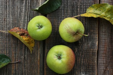 Green apples and autumn leaves on the table