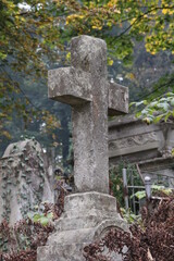 a stone cross in the old cemetery, between trees