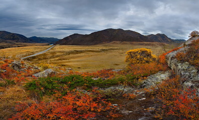 Russia. South Of Western Siberia. mountain Altai. Autumn colors of mountain valleys along the Chui tract.