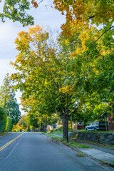 Burien Street In Fall 2