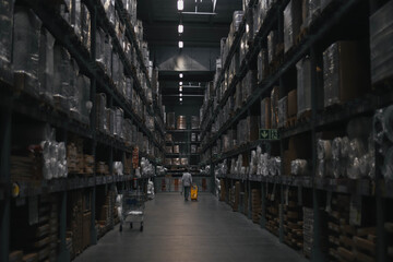 Young boy buying home furniture in a factory