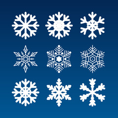 Set of different snowflakes on a blue background. Vector illustration