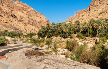 Landscape of Wadi Tiwi oasis with mountains and palm trees in Sultanate of Oman.