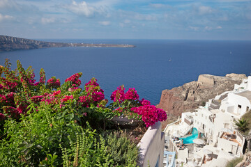 Santorini - The flower over Oia resorts.