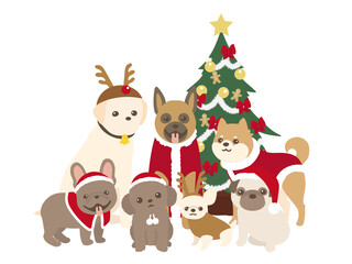 クリスマスのコスチュームを着たペット　犬