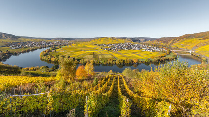 Vallée de la Moselle en automne