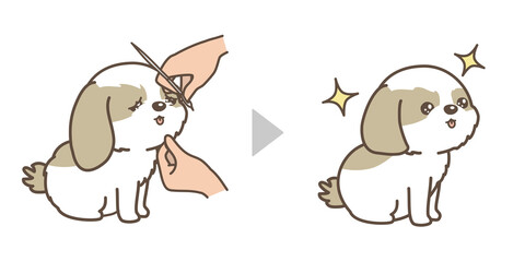 子犬のトリミング　ビフォアアフター　フェイスカット　シーズー © yamamedal