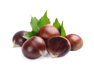Horse chestnuts with leaves isolated on white backgrounds.