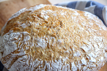 Fresh homemade crisp bread, bread at leaven, close up