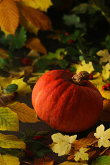 Fototapeta na wymiar A pumpkin and bright autumn leaves still life