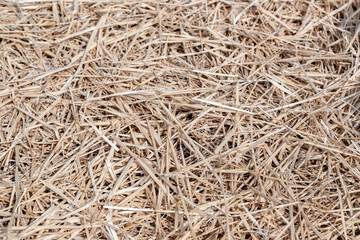 Hay on the ground. Background. Close-up