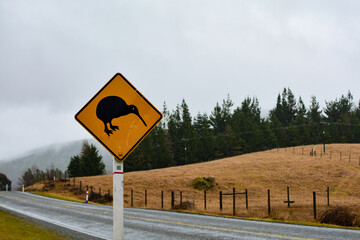 kiwi sign