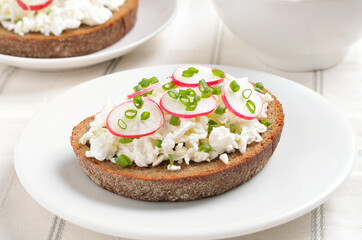 Bread with curd cheese, radish and green onion