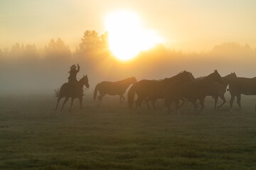 Fototapeta na wymiar Silhouette of cowgirl on horse in morning