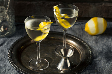 Boozy Lemon Dry Gin Martini