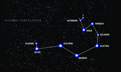 The Pleiades open star cluster. Vector scheme.