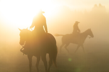 Fototapeta na wymiar silhouette of cowgirl with lasso on horse at sunrise