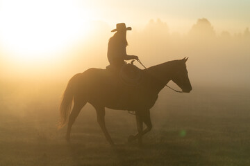 silhouette of cowgirl with lasso on horse at sunrise
