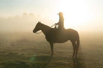Obraz na płótnie Canvas silhouette of cowgirl with lasso on horse at sunrise