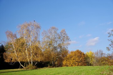 Fototapeta premium Der Herbst