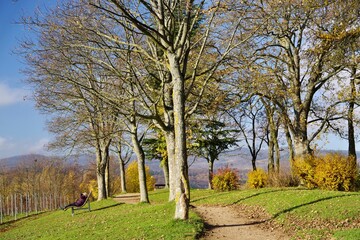 Obraz premium Bubenhäuser Höhe 