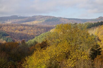 Fototapeta premium Herbstlandschaft
