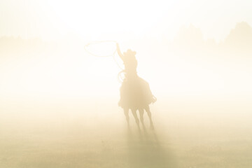 silhouette of a lasso horse in the sunset