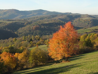 Naklejka premium Lanscape Expression 7