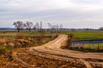 Jesienne krajobrazy z doliny Narwi, Podlasie, Polska © podlaski49
