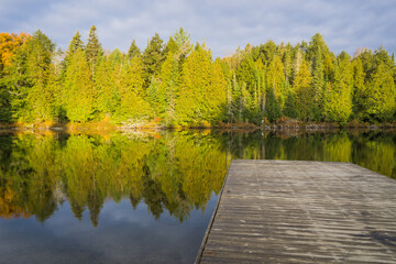 Autumn morning light on a lake in Algonquin Park