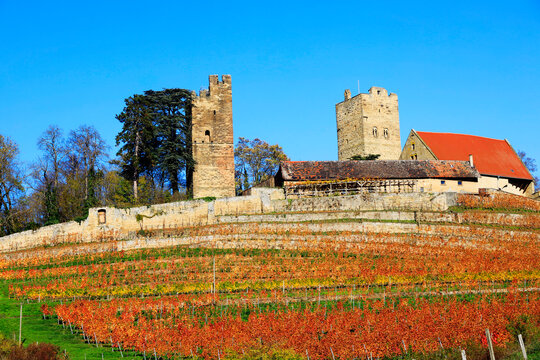 The Castle Neipperg near Heilbronn, Germany, Europe
