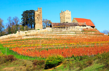 The Castle Neipperg near Heilbronn, Germany, Europe