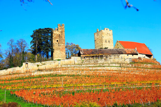 The Castle Neipperg near Heilbronn, Germany, Europe