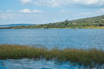Vista de un lago con nubes  en el cielo en donde se ve un bote y una garza