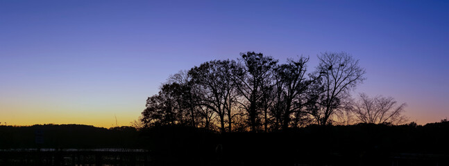 Panoramic view of silhouette of trees against evening sky 