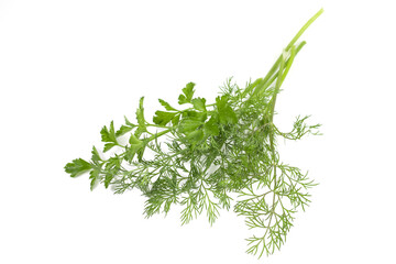 dill parsley to spices bunch isolated on white background