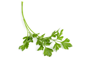 green leaves of parsley isolated on white background