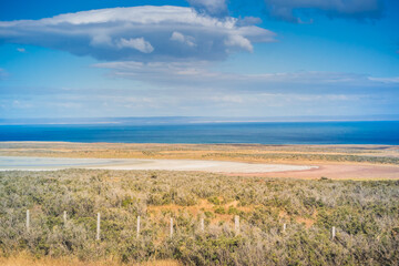 Tierra del Fuego coast landscape at Patagonia.