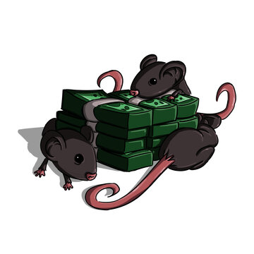 Ratas siguiendo el dinero